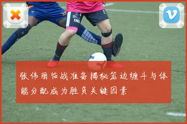 张伟丽临战准备揭秘笼边缠斗与体能分配成为胜负关键因素